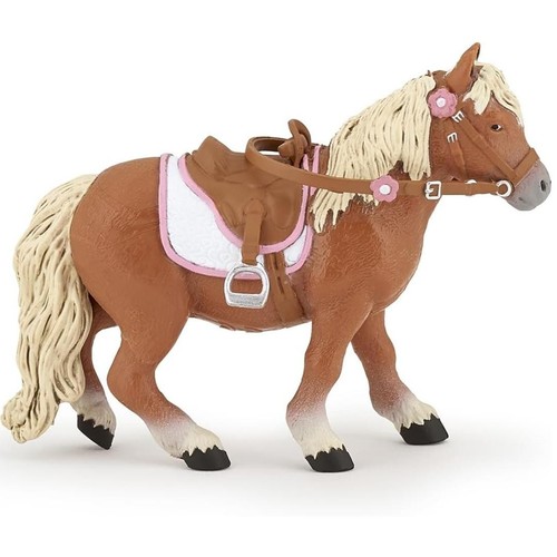 Shetland pony with saddle - pony,