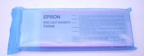 Epson t6066 ink - t6066, light