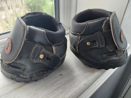 Equine fusion hoof - fusion,