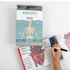 Anatomy Label Lab