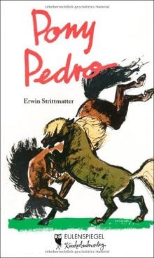 Pony pedro erwin - pony, by