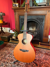 Vintage VE2000GG-12 Gordon Giltrap 12 String acoustic/electric guitar