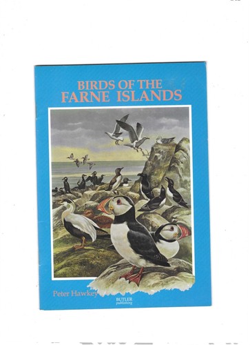 Birds the farne islands by - birds,