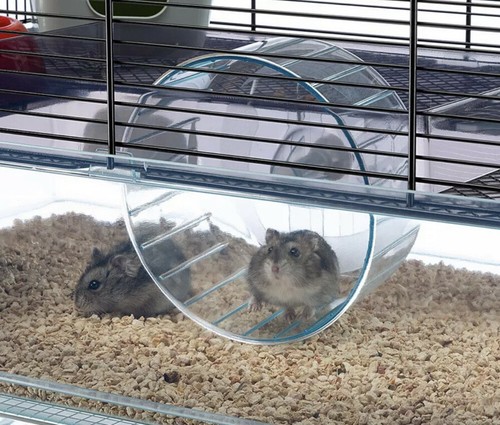 Ferplast favola large hamster - ferplast,