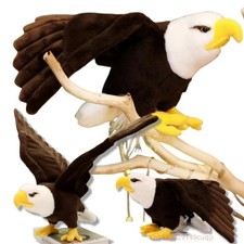 60cm/90cm Large Bald Eagle