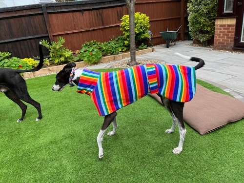 Double fleece dog coat - double,