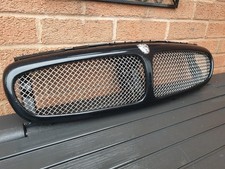 Jaguar X-Type Mesh Front