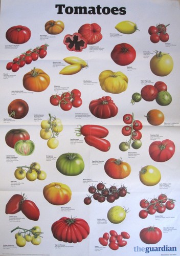 The guardian wall - guardian, chart