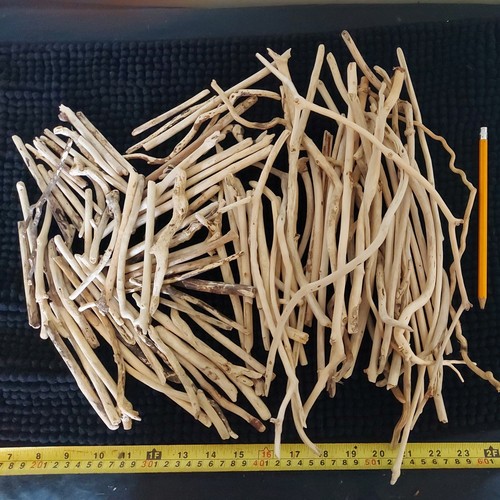 Driftwood pieces arts - arts, &