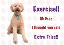 Funny labradoodle dog - funny, vinyl