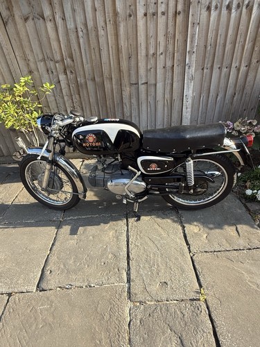 1968 motobi 250 barracuda - ss,