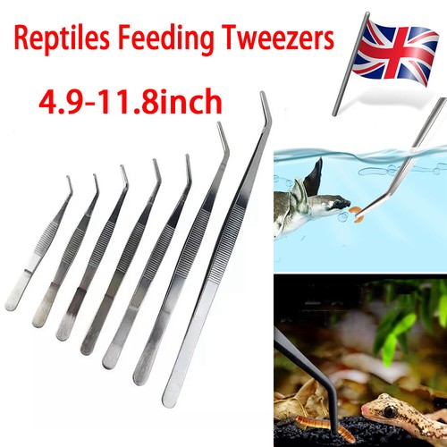 30cm feeding long - long, tongs