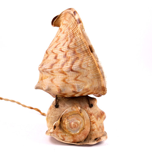 Conch shell lamp - conch,