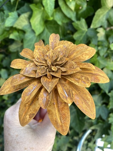 Rusty iron metal lotus - x,