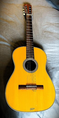 Vintage 487 concert - 487,