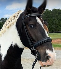 Black Stubben Crank Noseband Snaffle Dressage Bridle Adjustable Poll Super Nice