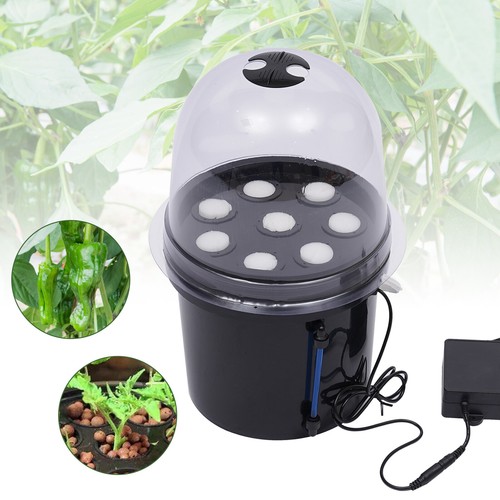 Hydroponics seedling - hydroponics,