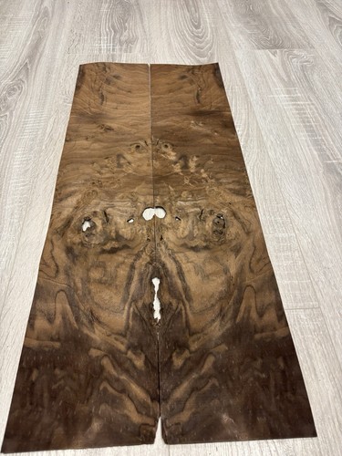 Burr walnut natural wood - 2,