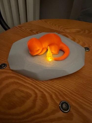 Sleeping charmander rock - charmander, on