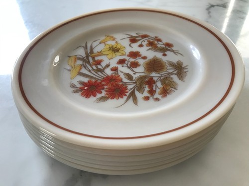 Vintage pyrex harvest - pyrex, spray