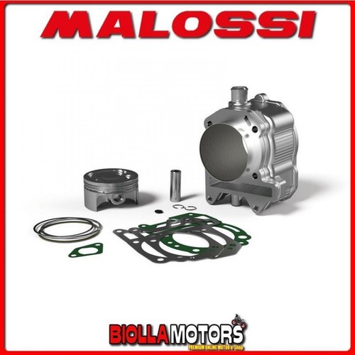 3113924 malossi 270cc - 270cc, d.75.5