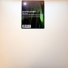 Ananda Project - Big Boat / Cascades Of Colour (Wally Lopez Remix), 12", (Vinyl)