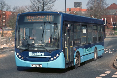 Bus photo bluebird - photo,