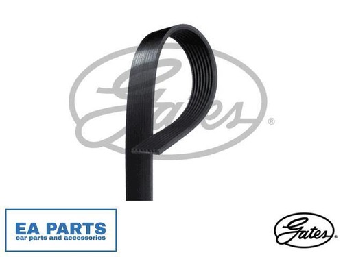 Ribbed belts for scania - v-ribbed, 4