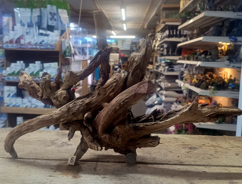 Gnarly scapers wood aquarium - gnarly,