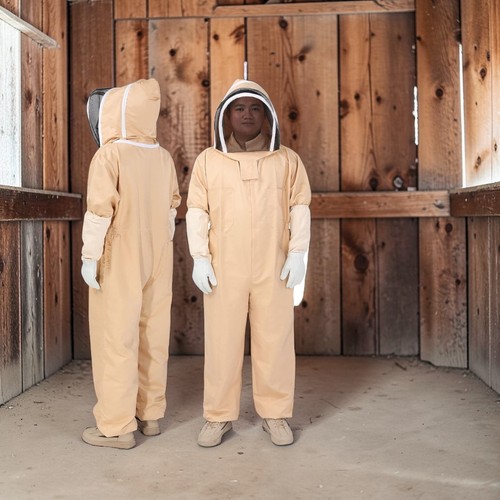 Beekeeping bee suit - bee,