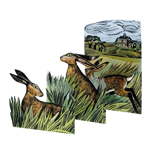 Concertina greeting card - concertina,