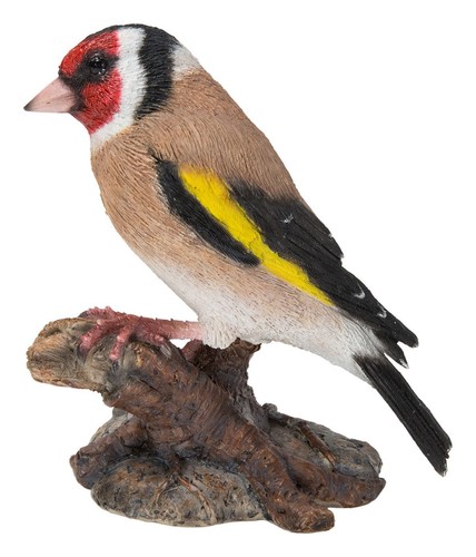 Goldfinch bird lifelike - goldfinch,