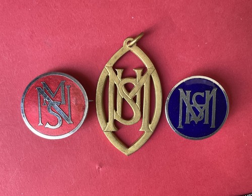Vintage msn nurses enamel - vintage, ?