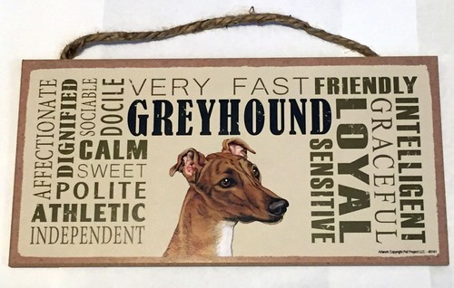 Greyhound traits indoor wood - traits,