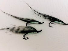3 x tiger sunrays size 6