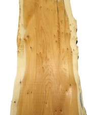 1x Yew Burl Wood Yew Wood Wild