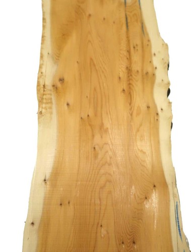 Yew burl wood - burl, wild
