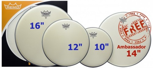 Remo ambassador coated - remo,