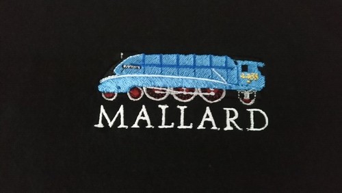 Trains mallard hoodie - trains,