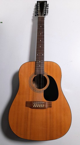 Ridgewood acoustic string - ridgewood, 12