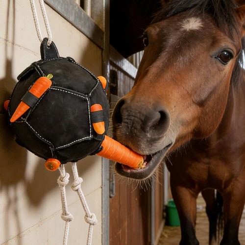 Horse carrot feeding ball toy - horse,