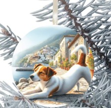 Jack Russell Dog Hanging