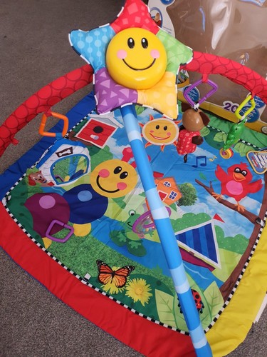 Play gym baby einstein - gym,