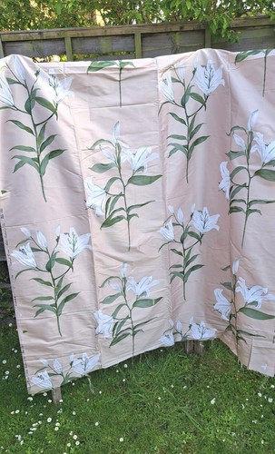 75m sanderson white lilies - sanderson, lilies"