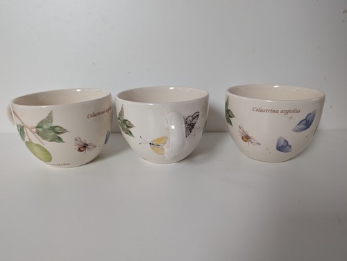 Wedgewood sarah garden - sarah's,