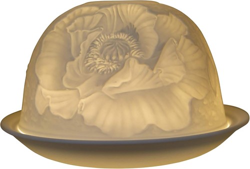 Nordic lights poppies flower - nordic,