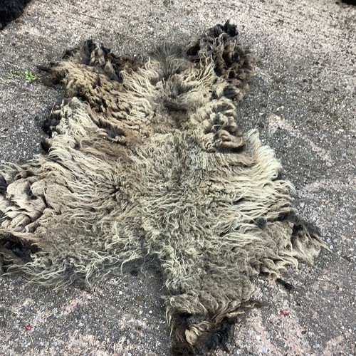 Hebridean sheep fleece - hebridean,