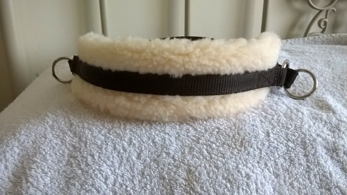 Bitless bridle attachment