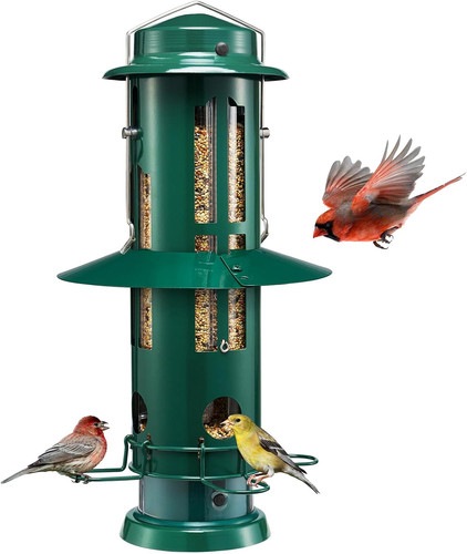 Kingsyard squirrel proof - proof, bird
