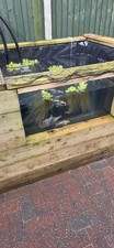 Sleeper Koi Pond With Window All Accessories Pump, Filter, Airpump And 6 Koi